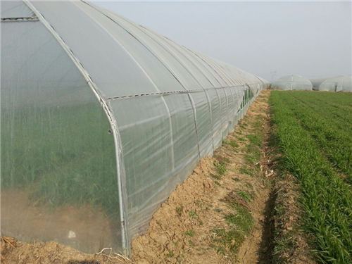 塑料大棚造价 - 河南绿之茵农业技术开发有限公司