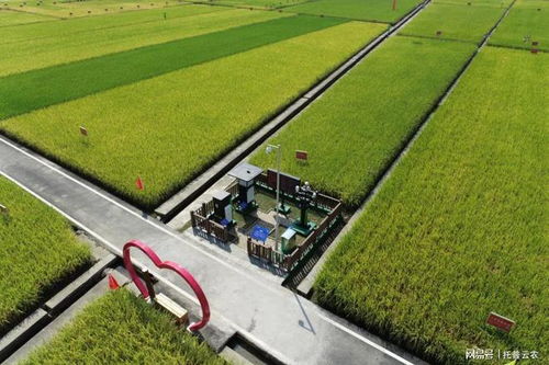 托普云农运用数字化技术助力农业低碳绿色发展